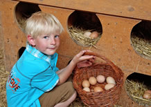 Eier suchen im Urlaub am Bauernhof