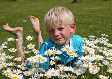 Entspannen in der Blumenwiese